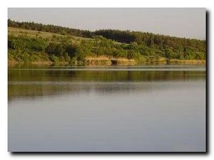 Платные водоемы. Донецкая область