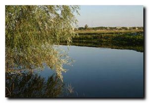 Платные водоемы. Херсонская обл. Горностаевский район