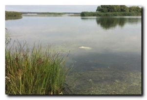 Платные водоемы. Херсонская область